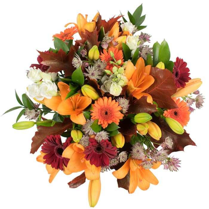 An elegant, elevated perspective of a full-bodied fall bouquet, presented against an immaculate white studio background so textures and tones remain unmistakable. Dominating the scene are fully unfurled orange Asiatic lilies, their large, silky petals curling outward like small suns and catching a bright, even light that highlights subtle apricot gradients. Bright orange Gerbera daisies and deep burgundy-red Gerberas are woven through the composition, their concentric petal patterns creating playful contrasts between warmth and depth. Interspersed green lily buds and pale orange unopened buds add a sense of promise and movement, while clusters of creamy-white lisianthus (or mini roses) introduce a soft-focus respite within the richer palette. Airy, star-shaped Astrantia in muted purple and grey-lavender forms delicate islands of texture across the arrangement, lending an artisanal, almost wildflower touch. The palette is further grounded by large, lobed leaves in rich chestnut and reddish-brown-suggestive of fallen oak-and glossy green foliage that frames and supports each bloom. The bouquet is tightly packed and appears freshly assembled, designed to read as abundant and rounded from every angle, perfect for autumnal centrepieces or a comforting seasonal gift. There's a tactile sense here-the crisp rustle of leaves, the velvety feel of petals-and a faint sweetness in the imagined scent. Sited in the context of south London, this arrangement brings to mind autumn strolls past Camberwell's streets and the mellowed light around Denmark Hill; it's a bouquet that quietly celebrates the harvest and the comforting colours of the season without fuss.